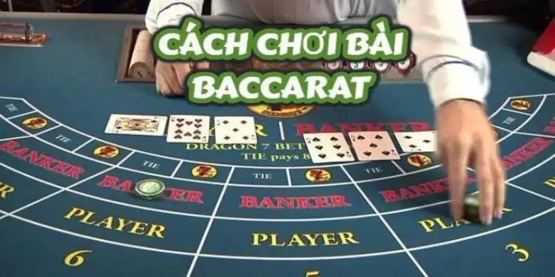 Luật chơi chi tiết từng bước dành cho người mới 