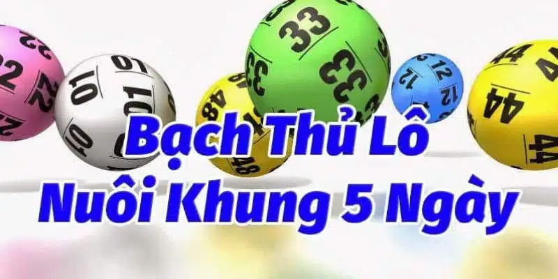 Nuôi khung số 5 ngày giúp bạn theo dõi số dễ dàng hơn